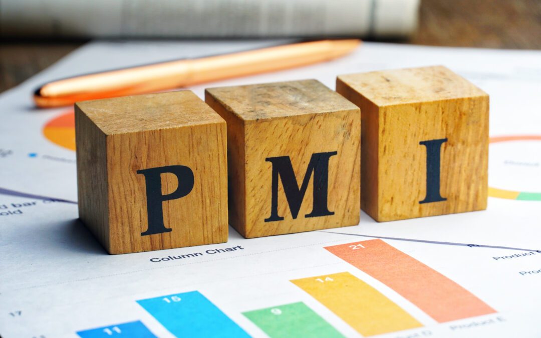 What Is PMI?